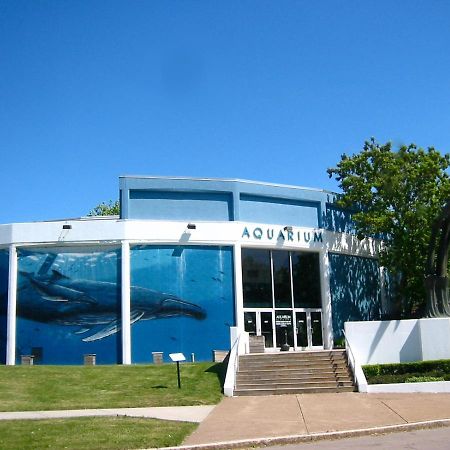 Falls Retreat - Walk To The Falls, The Casino And All Downtown Restaurants - Across From The Aquarium Niagara Falls Kültér fotó